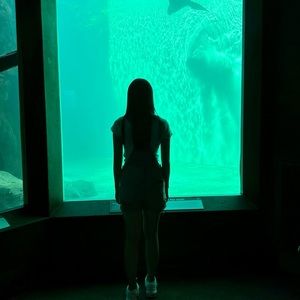 Meet your Posher, Joann